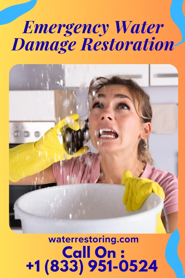 Emergency Water Damage Restoration in Naples, FL